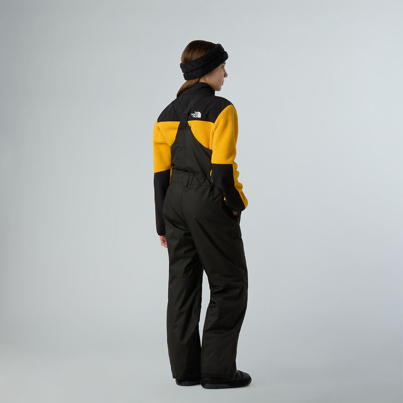 Teen Freedom Insulated Bib, TNF BLACK, hi-res image number 7