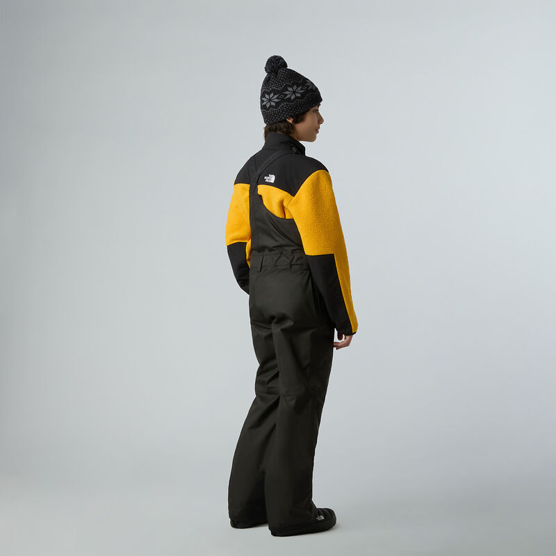 Teen Freedom Insulated Bib, TNF BLACK, hi-res image number 4