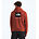 Men's Evolution Box NSE Hoodie, IRON CLAY, swatch