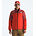 Men's Terra Peak Jacket, LAVA RED-IRON CLAY, swatch