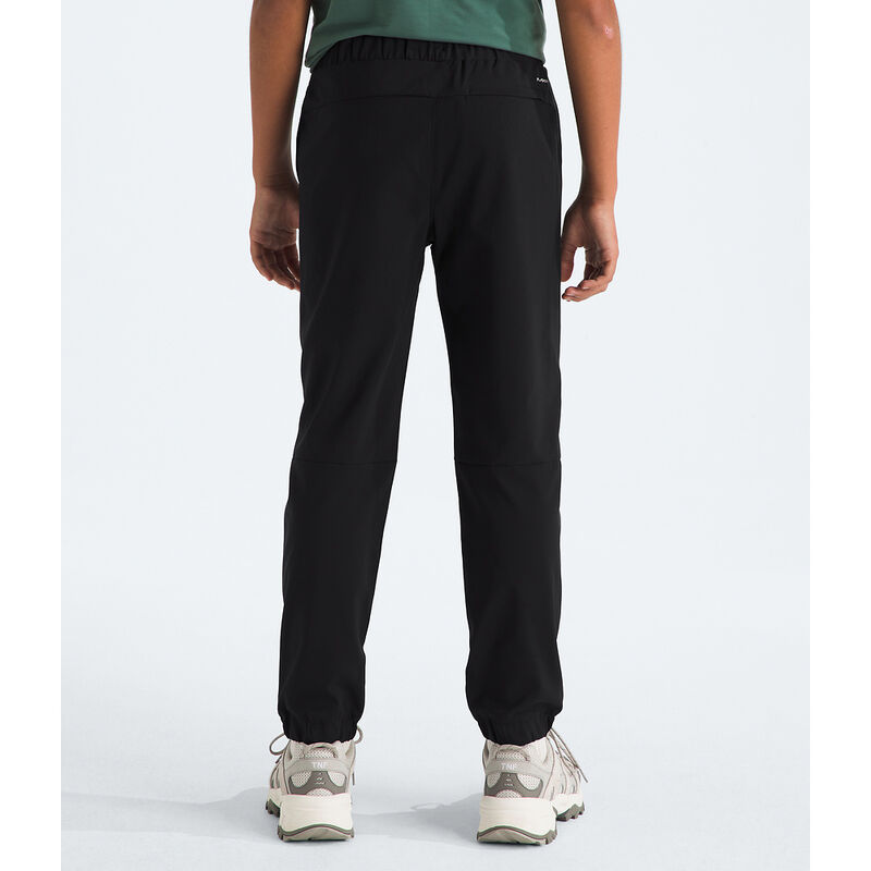 Boys' On The Trail Pants, TNF BLACK, hi-res image number 4