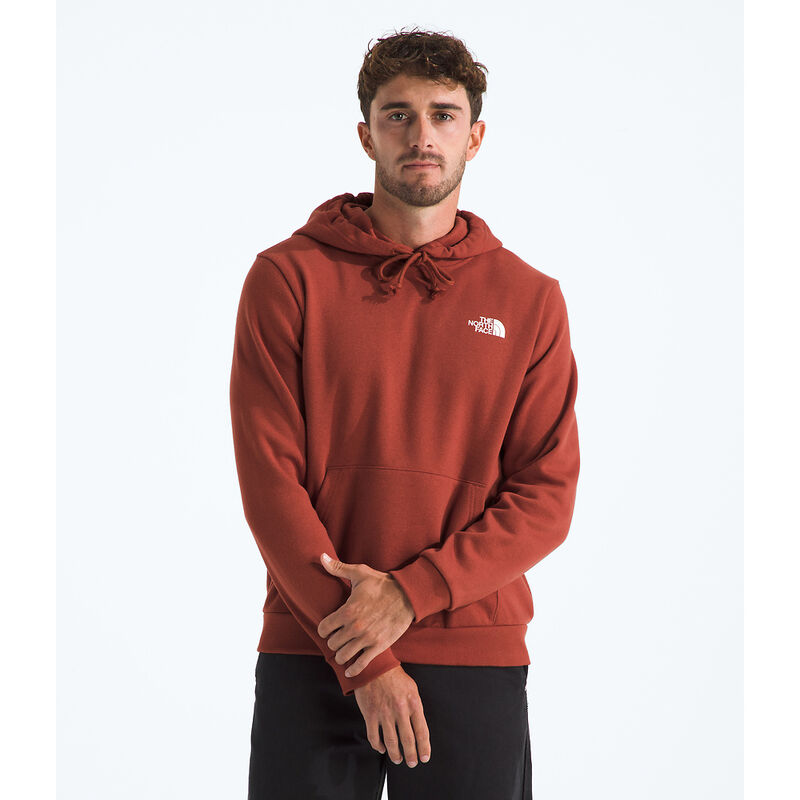 Men's Evolution Box NSE Hoodie, IRON CLAY, hi-res image number 3