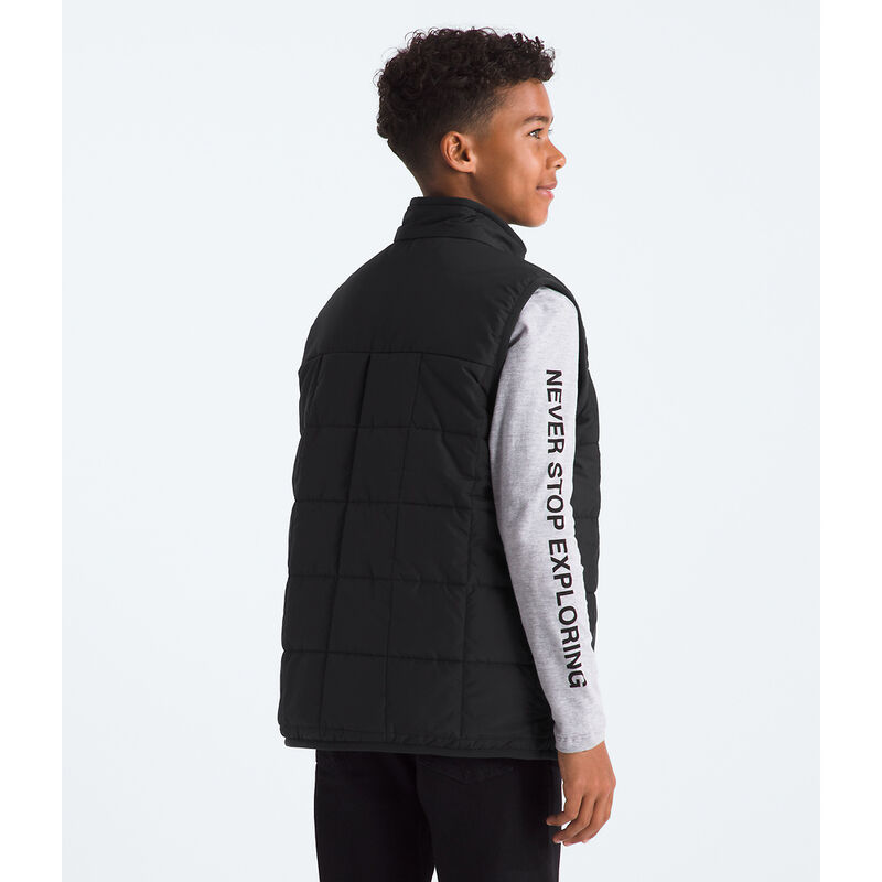 Boys' Reversible Shasta Vest, TNF BLACK, hi-res image number 4