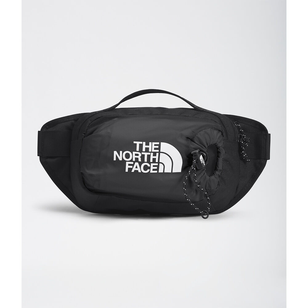 fanny pack the north face