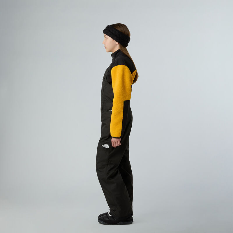 Teen Freedom Insulated Bib, TNF BLACK, hi-res image number 6