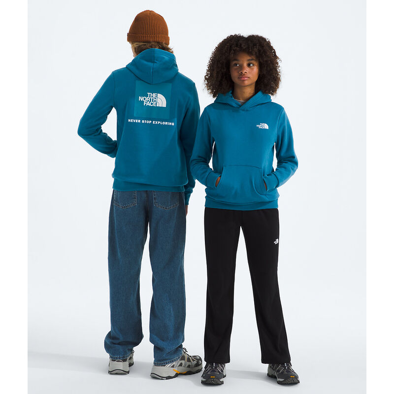 Teen Evolution Box NSE Pullover Hoodie