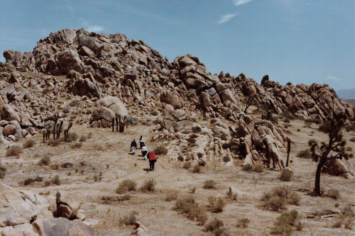 THE NORTH FACE RED BOX